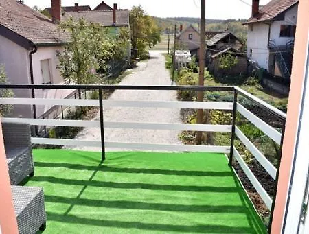 Grof * Zajecar
